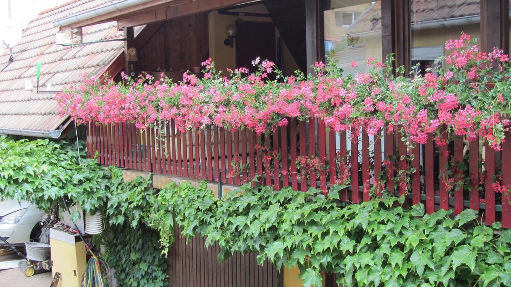 Gite Du Vignoble Beblenheim Zimmer foto